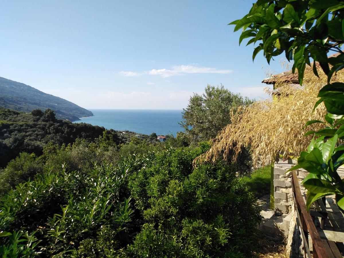 Villa Ελαιώνας - Solar Energy House à Chorefton Extérieur photo