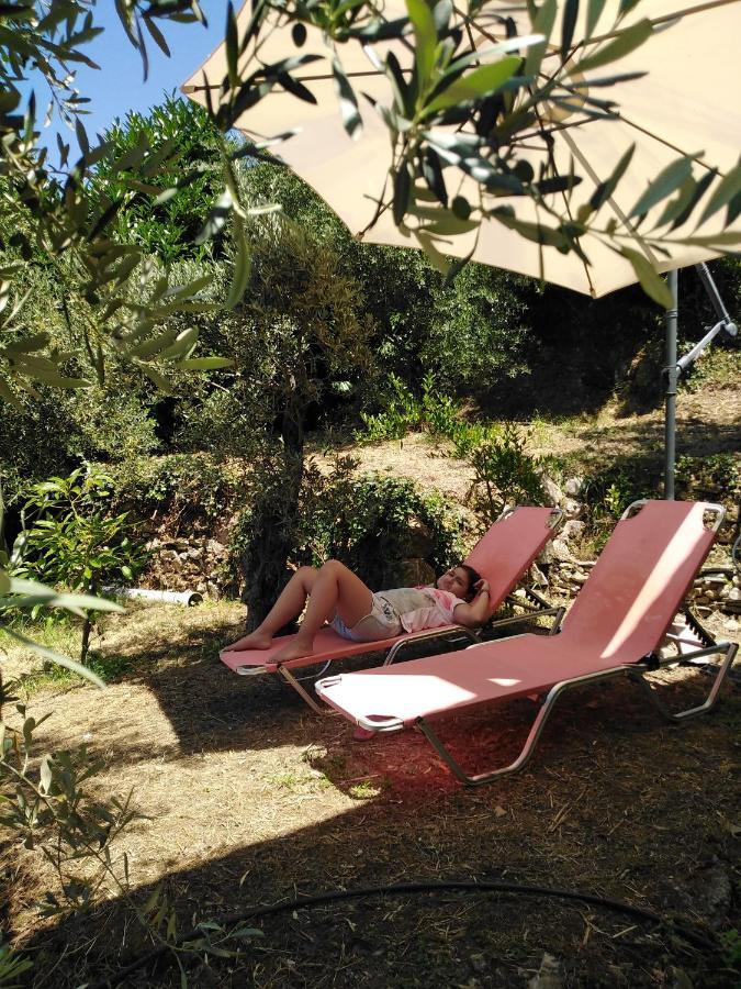 Villa Ελαιώνας - Solar Energy House à Chorefton Extérieur photo