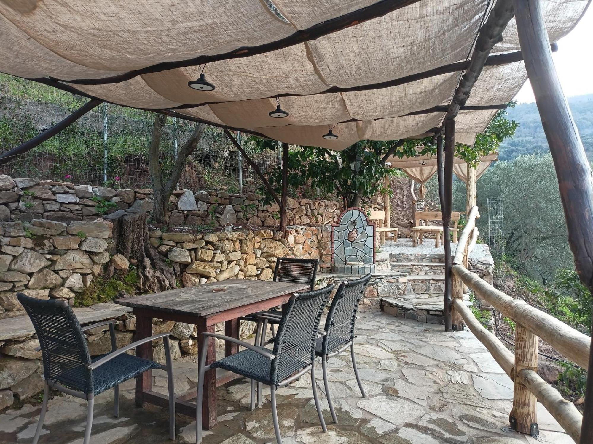 Villa Ελαιώνας - Solar Energy House à Chorefton Extérieur photo